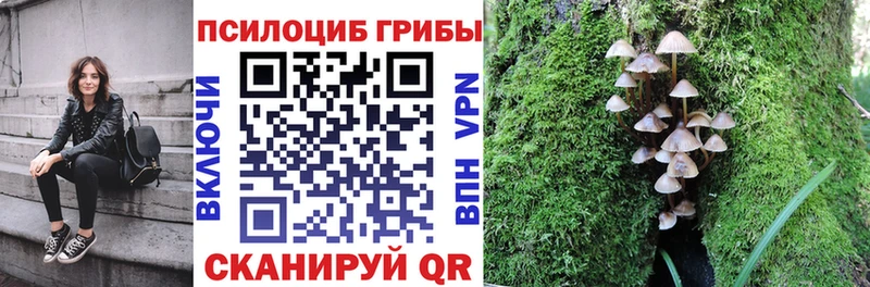 Галлюциногенные грибы мухоморы  omg tor  Навашино 